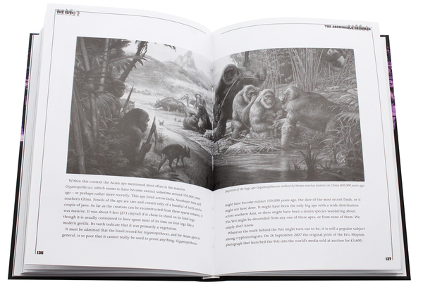 Паперова книга «Bigfoot», автор Руперт Метьюз - фото №1