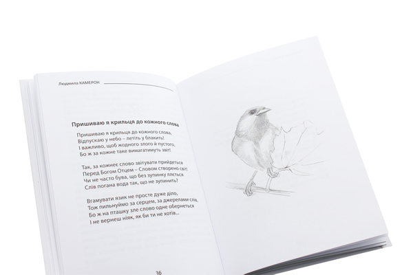 Бумажная книга «Твої долоні у моїх», автор Людмила Камерон - фото №1