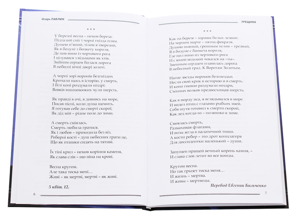 Паперова книга «Трещина», автор Ігор Павлюк - фото №1
