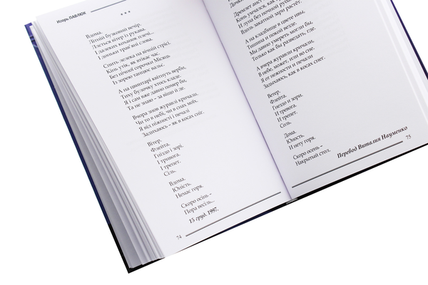 Паперова книга «Трещина», автор Ігор Павлюк - фото №1