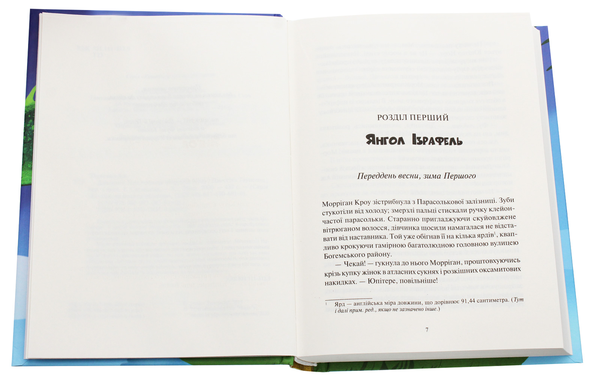 Паперова книга «Дивосміт. Покликання Морріґан Кроу. Книга 2», автор Джесіка Таунсенд - фото №1