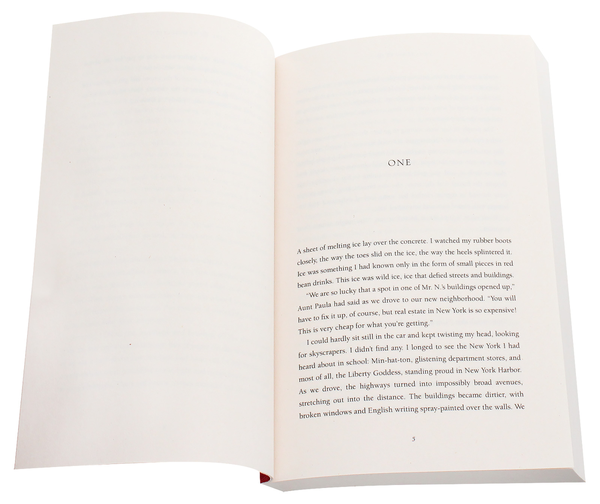 Бумажная книга «Girl in Translation», автор Джин Квок - фото №1
