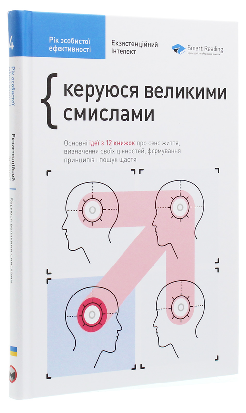 Бумажная книга «Рік особистої ефективності. Екзистенційний інтелект. Збірник №4», автор Михаил Иванов - фото №1