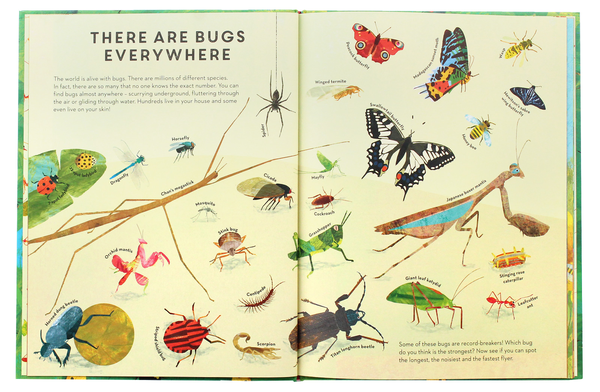 Бумажная книга «There are Bugs Everywhere», автор Лили Мюррей - фото №1