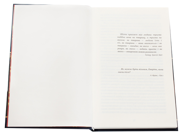 Бумажная книга «Місто», автор Валерьян Пидмогильный - фото №1