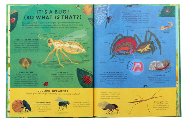 Бумажная книга «There are Bugs Everywhere», автор Лили Мюррей - фото №1