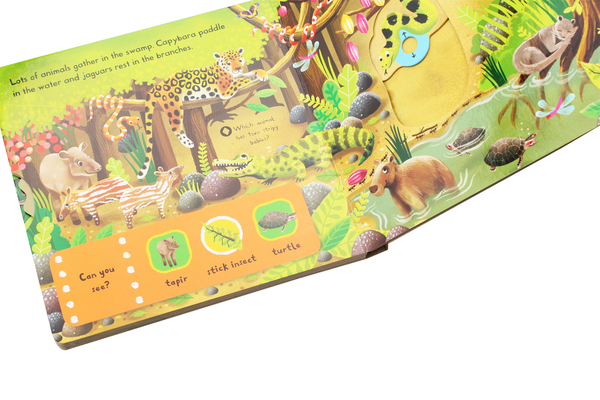 Бумажная книга «First Explorers. In the Jungle» - фото №1