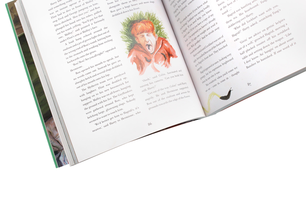 Бумажная книга «Harry Potter and the Chamber of Secrets. Illustrated Edition», автор Джоан Роулинг - фото №1