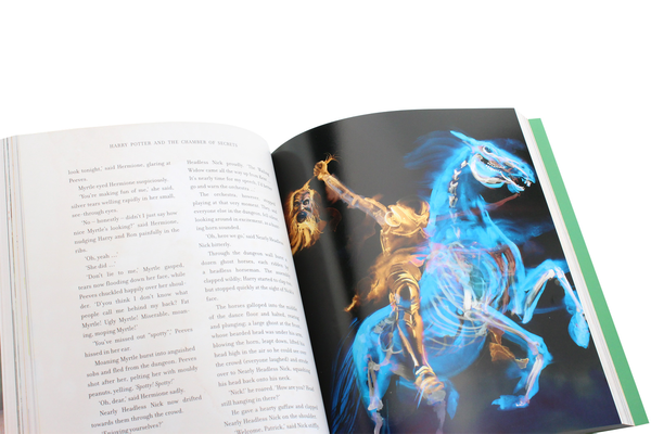Бумажная книга «Harry Potter and the Chamber of Secrets. Illustrated Edition», автор Джоан Роулинг - фото №1