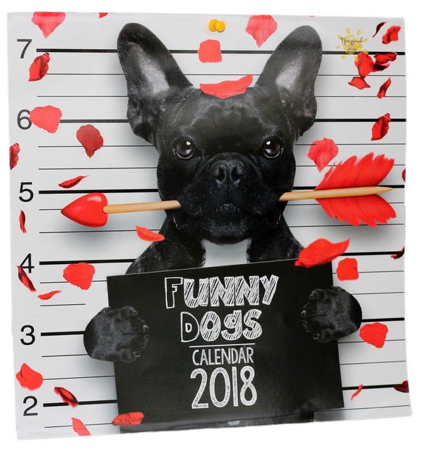 Бумажная книга «Настінний календар Свято кожен день Funny Dogs на 2018 рік» - фото №1