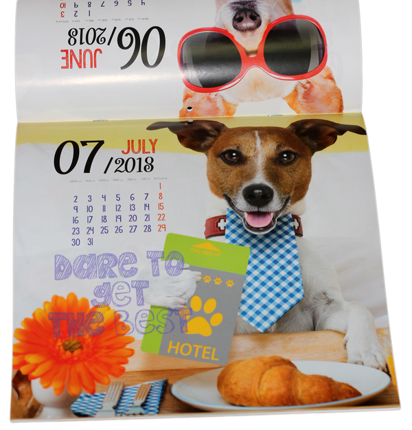 Бумажная книга «Настінний календар Свято кожен день Funny Dogs на 2018 рік» - фото №1
