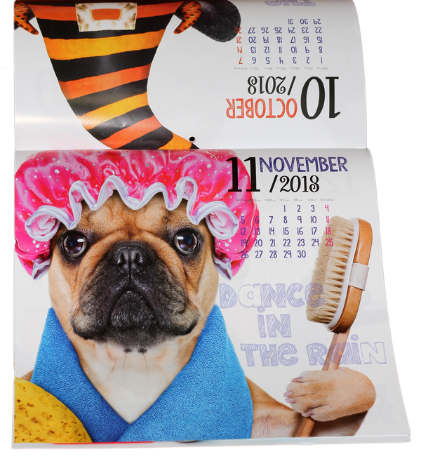 Бумажная книга «Настінний календар Свято кожен день Funny Dogs на 2018 рік» - фото №1