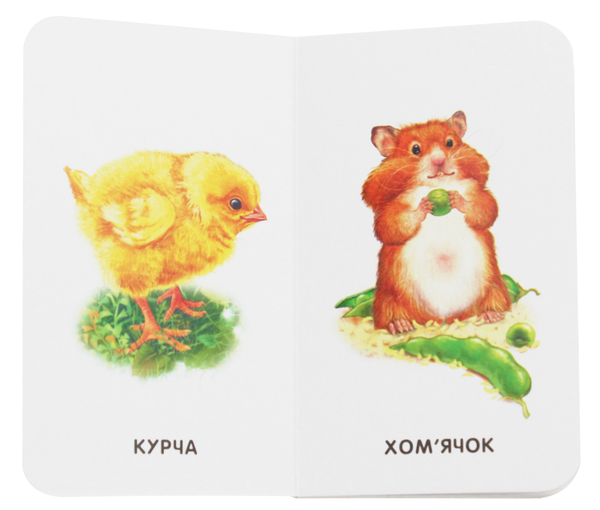 Бумажная книга «Бузкові книжки. 22 картинки. Свійські тварини» - фото №1