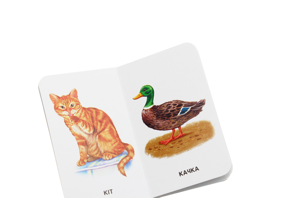 Бумажная книга «Бузкові книжки. 22 картинки. Свійські тварини» - фото №1