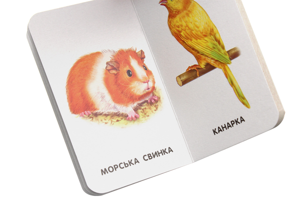 Бумажная книга «Бузкові книжки. 22 картинки. Свійські тварини» - фото №1