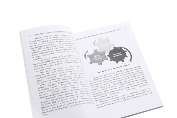 Бумажная книга «Розвиток державних фінансів в умовах хаотичного структурування економіки. Монографія», автор С. Кузнецова - фото №1