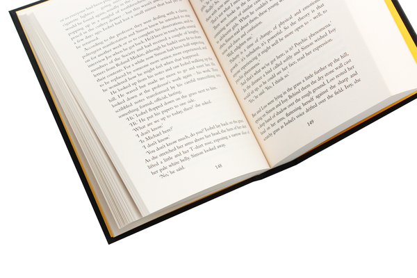 Паперова книга «The Wayward Girls», автор Аманда Мейсон - фото №1