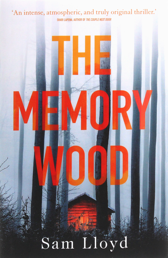 Паперова книга «The Memory Wood», автор Сем Ллойд - фото №1