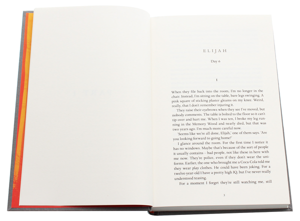 Паперова книга «The Memory Wood», автор Сем Ллойд - фото №1