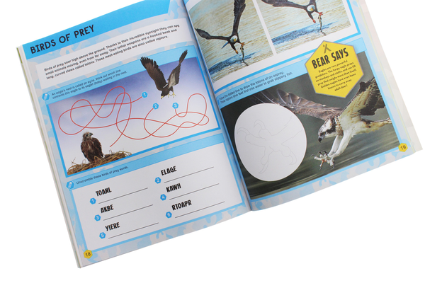 Бумажная книга «Bear Grylls Sticker Activity: Predators», автор Беар Гриллс - фото №1
