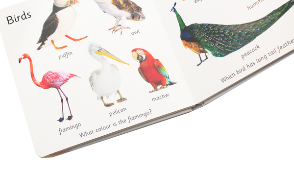 Бумажная книга «My Little Book of Animals», автор Роджер Придди - фото №1