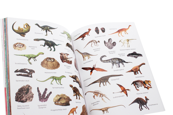 Бумажная книга «Sticker Encyclopedia Dinosaurs» - фото №1
