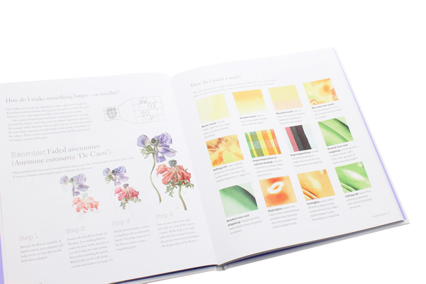 [object Object] «Botanical Illustration for Beginners: A Step-by-Step Guide», авторов Мериэль Турстан, Рози Мартин - фото №6 - миниатюра