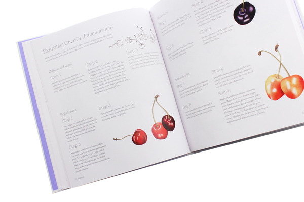 Паперова книга «Botanical Illustration for Beginners: A Step-by-Step Guide», авторів Мериель Турстан, Розі Мартін - фото №1