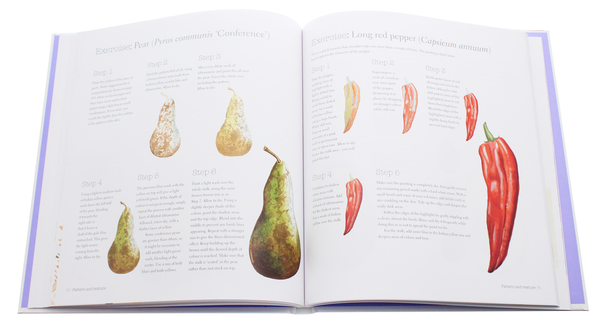 Паперова книга «Botanical Illustration for Beginners: A Step-by-Step Guide», авторів Мериель Турстан, Розі Мартін - фото №1
