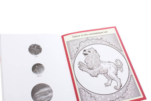 Паперова книга «Planetarium Activity Book», авторів Раман Принья, Кріс Вормелл - фото №1