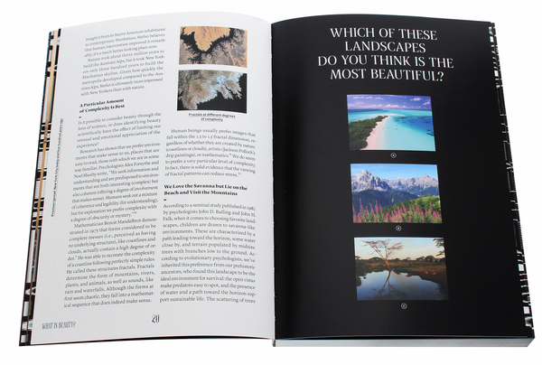 Бумажная книга «Sagmeister & Walsh. Beauty», авторов Стефан Загмайстер, Джессика Уолш - фото №1