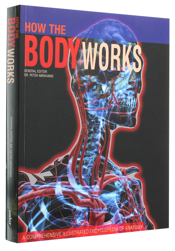 Бумажная книга «How the Body Works», автор Петер Абрахамс - фото №1