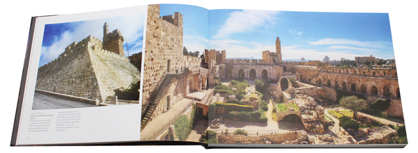Бумажная книга «Castles of the World», автор Филлис Джестайс - фото №1
