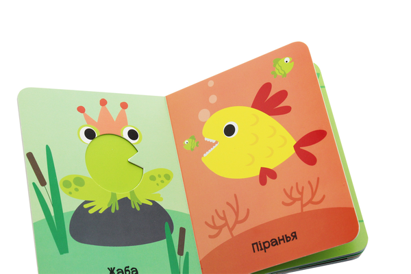 Бумажная книга «Комплект Відкрий та здивуйся! (комплект із 2 книг)» - фото №1