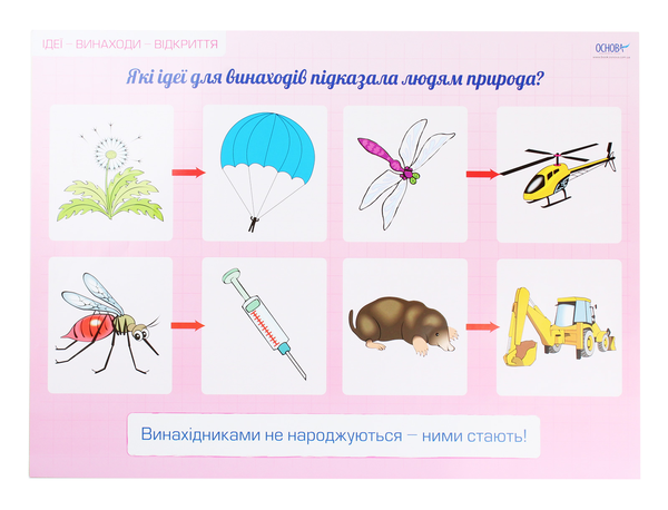 [object Object] «Я досліджую світ. Комплект із 8 плакатів. 2 клас», автор Юлія Бардакова - фото №4 - мініатюра
