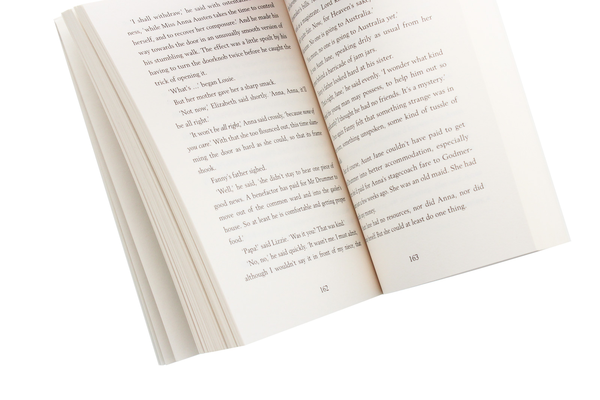 Паперова книга «The Austen Girls», автор Люсі Ворслі - фото №1