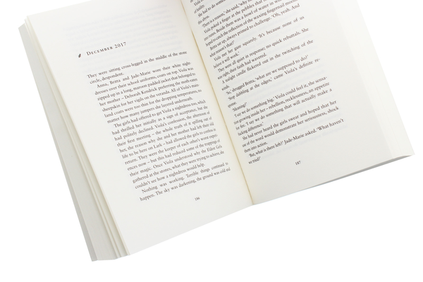 Бумажная книга «Impossible Causes», автор Джули Мэйхью - фото №1