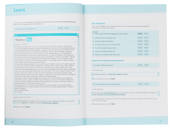 Бумажная книга «Goethe-/ÖSD-Zertifikat B1. Übungsbuch (+CD-ROM)» - фото №1