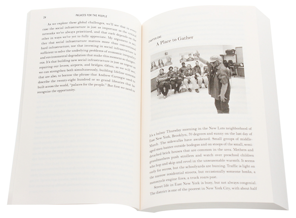 Бумажная книга «Palaces for the People», автор Эрик Клиненберг - фото №1