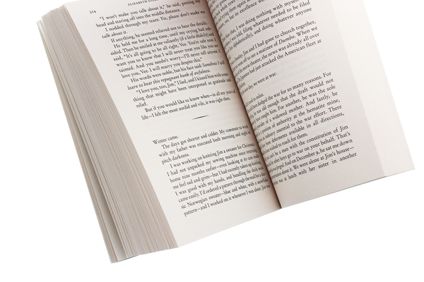 Бумажная книга «City of Girls», автор Элизабет Гилберт - фото №1