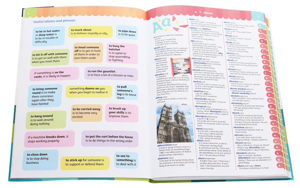 Бумажная книга «Oxford Illustrated Children's Dictionary» - фото №1