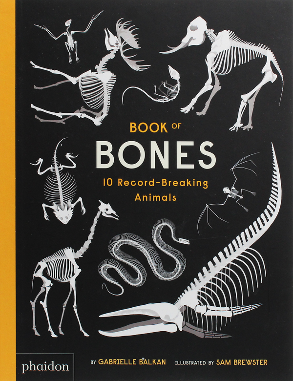 Бумажная книга «Book of Bones. 10 Record-Breaking Animals», автор Габриэль Балкан - фото №1