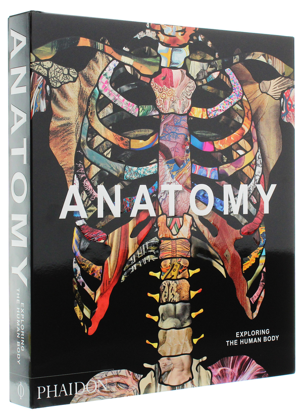 Паперова книга «Anatomy. Exploring the Human Body» - фото №1