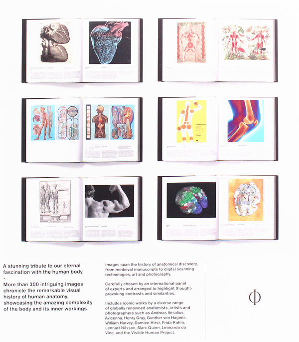Паперова книга «Anatomy. Exploring the Human Body» - фото №1