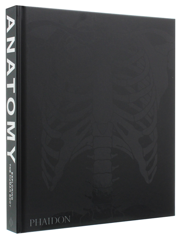 Паперова книга «Anatomy. Exploring the Human Body» - фото №1