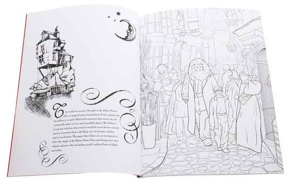 Книга «Harry Potter Magical Places and Characters Colouring Book