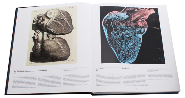 Паперова книга «Anatomy. Exploring the Human Body» - фото №1