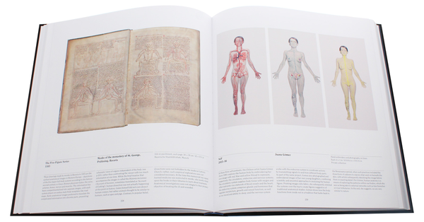 Паперова книга «Anatomy. Exploring the Human Body» - фото №1
