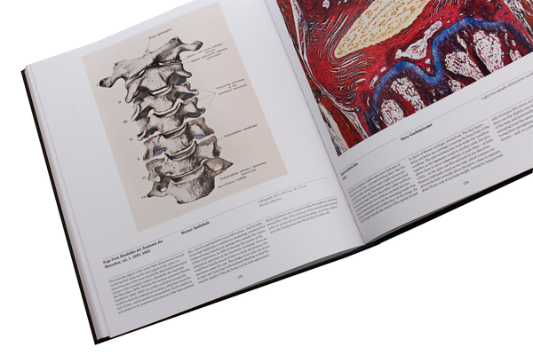 Паперова книга «Anatomy. Exploring the Human Body» - фото №1