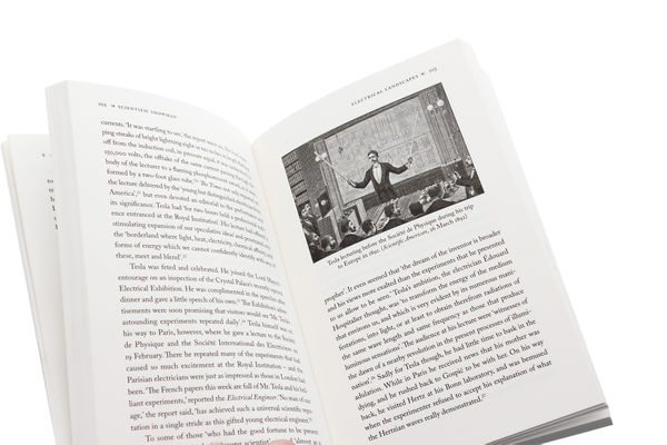 Паперова книга «Nikola Tesla and the Electrical Future» - фото №1